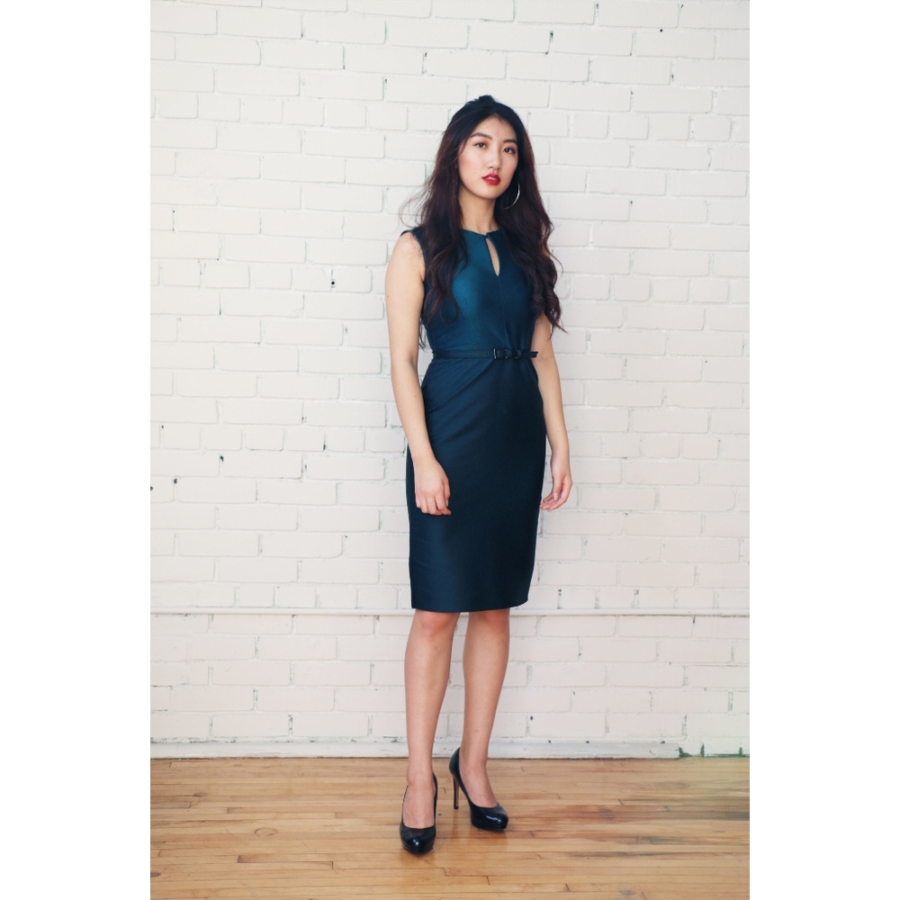 MaxMara | Pencil Dress